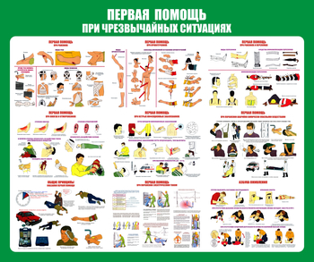 С20-1 Стенд Оказание первой помощи при ЧС (670х800 мм, пластик ПВХ 3 мм, Прямая печать на пластик) - Стенды - Стенды по первой медицинской помощи - магазин "Охрана труда и Техника безопасности"